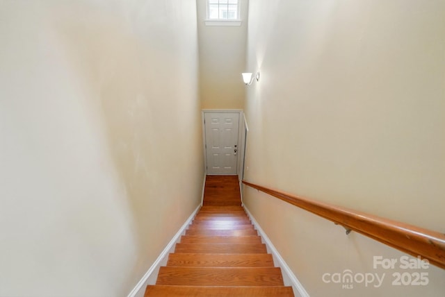 11209 Lazio Ln Unit 1, Charlotte, NC 28277 - staircase with wood finished floors, baseboards, and a towering ceiling