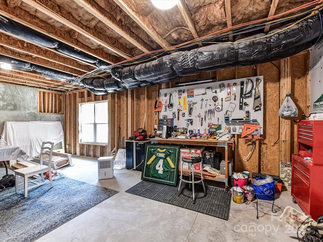 129 Overlook Ridge Ln, Davidson, NC 28036 - basement featuring a workshop area