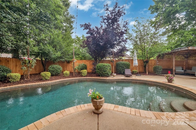 1225 Madison Green Dr, Fort Mill, SC 29715 - view of pool with a patio area and a fenced backyard