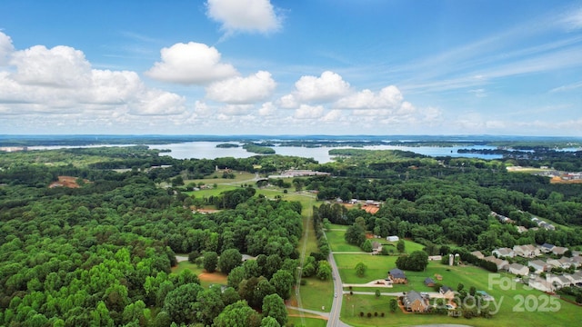 14316 Baytown Ct, Huntersville, NC 28078 - bird's eye view of a nearby body of water and a heavily wooded area