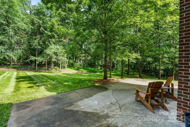 4920 Parview Dr S, Charlotte, NC 28226 - view of patio / terrace