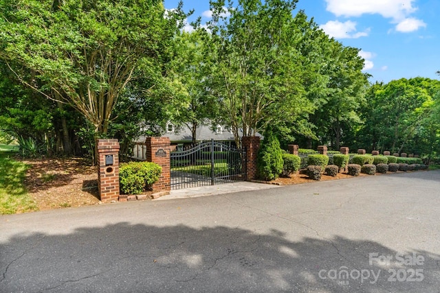 4920 Parview Dr S, Charlotte, NC 28226 - view of gate