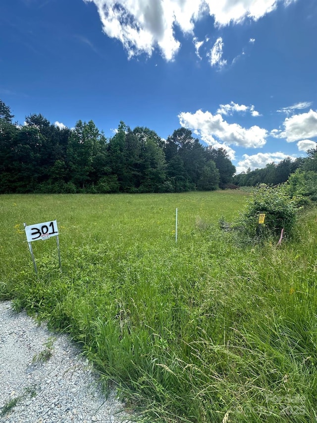 301 Sweet Gum Rd, Spartanburg, SC 29307 - photo 1