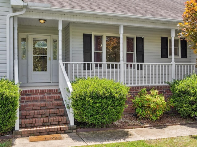 1028 Swaying Oats Dr, York, SC 29745 - entrance to property with a porch and roof with shingles