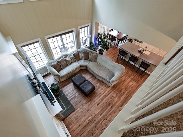 410 Deer Brush Ln, Waxhaw, NC 28173 - living room with wood finished floors, a high ceiling, and plenty of natural light