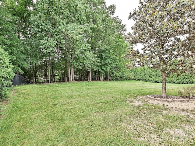 410 Deer Brush Ln, Waxhaw, NC 28173 - view of green lawn