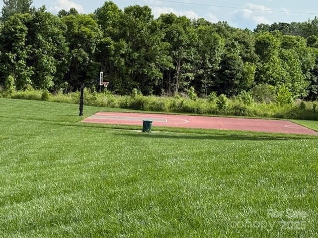 410 Deer Brush Ln, Waxhaw, NC 28173 - view of property's community featuring a yard and community basketball court