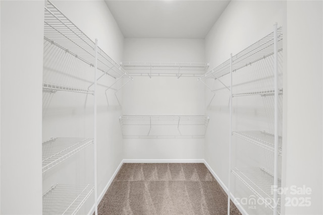 5946 Ardrey Kell Rd, Charlotte, NC 28277 - walk in closet with carpet flooring