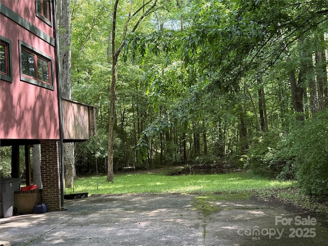 view of yard with a view of trees and a patio area