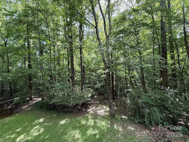view of woods