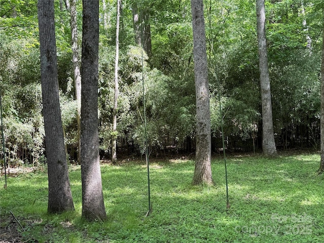 view of tree filled area