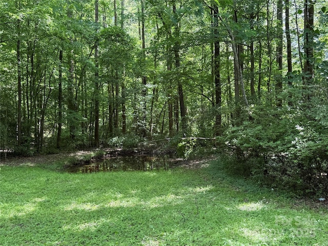 view of grassy yard with a wooded view