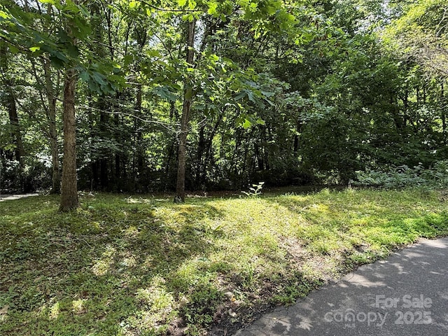 view of yard with a wooded view