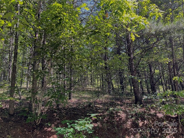 0 Freemantown Rd, Lake Lure, NC 28746