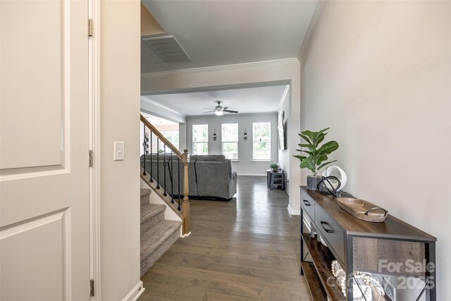 809 River Park Rd, Belmont, NC 28012 - entrance foyer with stairs, crown molding, ceiling fan, dark wood finished floors, and baseboards