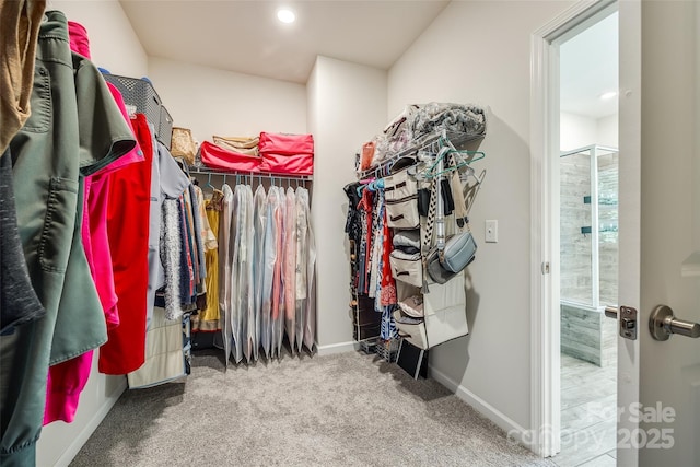 809 River Park Rd, Belmont, NC 28012 - walk in closet with carpet floors