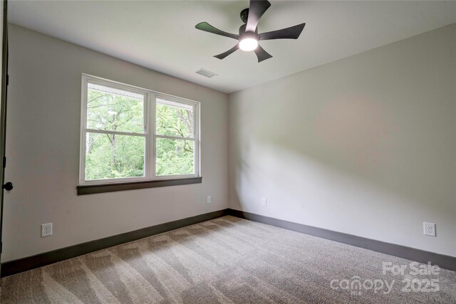 600 S Cline Ave, Newton, NC 28658 - empty room with carpet floors, ceiling fan, and baseboards