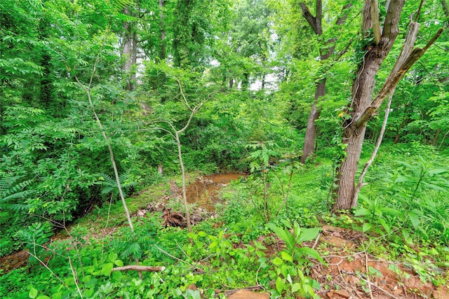 600 S Cline Ave, Newton, NC 28658 - view of nature