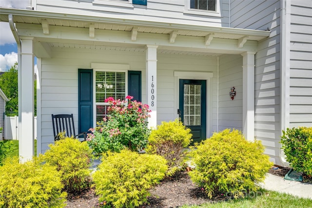 16008 Weeping Valley Dr, Fort Mill, SC 29715 - photo 6