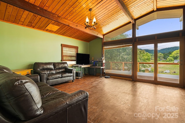 61 Magnolia Dr, Canton, NC 28716 - living area with plenty of natural light, wood ceiling, and wood finished floors
