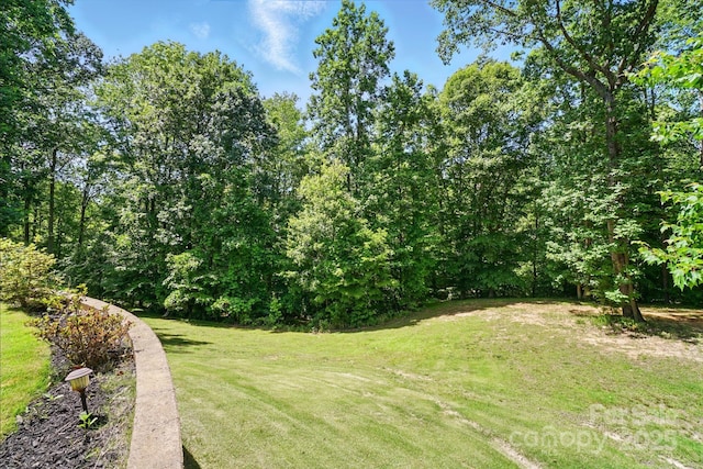 161 Leaning Tower Dr, Mooresville, NC 28117 - view of green lawn