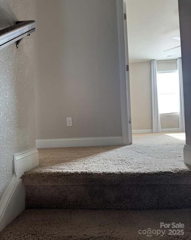 664 Cape Fear St, Fort Mill, SC 29715 - photo 29