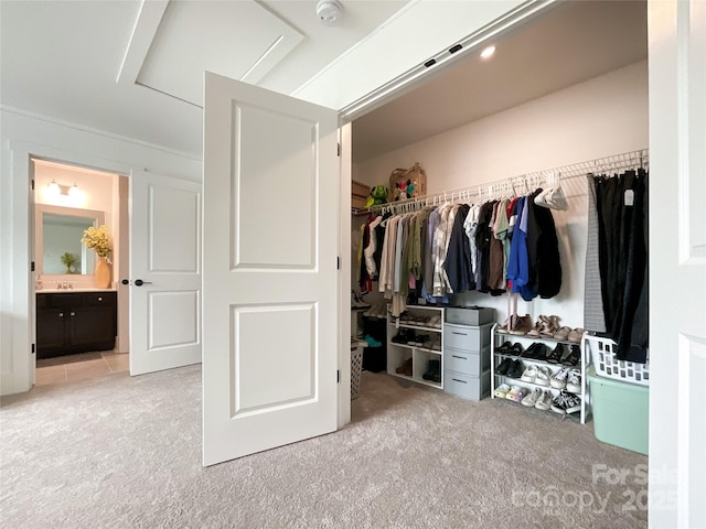 closet with a sink