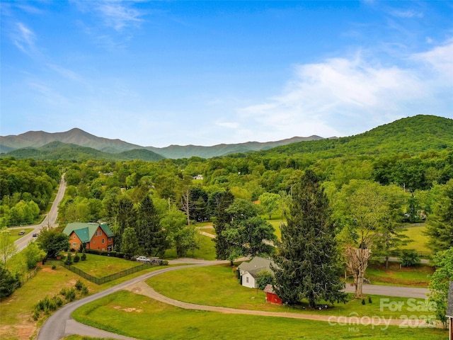 128 Lewis Ln, Candler, NC 28715 - view of mountain background featuring a forest