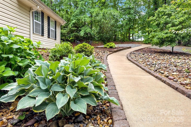 174 Sassafras Hill Dr Unit 41, Rutherfordton, NC 28139 - view of yard
