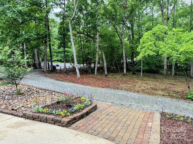 174 Sassafras Hill Dr Unit 41, Rutherfordton, NC 28139 - view of property's community