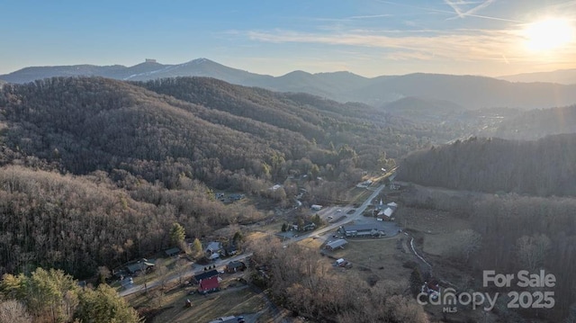 40 Painter Rd, Banner Elk, NC 28604 - mountain view with a heavily wooded area