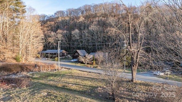 40 Painter Rd, Banner Elk, NC 28604 - view of yard featuring a wooded view