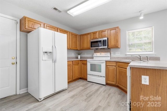 4004 Shasta Cir, Clover, SC 29710 - kitchen with white appliances, light wood-style flooring, a sink, and light countertops
