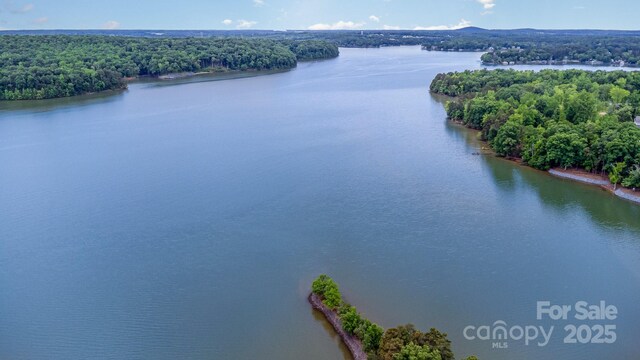 112 S Shore Dr, Belmont, NC 28012 - photo 48