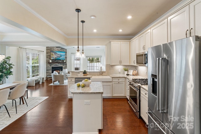 4028 Woodsmill Rd, Fort Mill, SC 29707 - kitchen with premium appliances, a sink, a fireplace, open floor plan, and crown molding