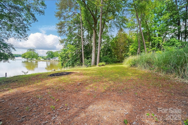 164 Tanglewood Cv, Belmont, NC 28012