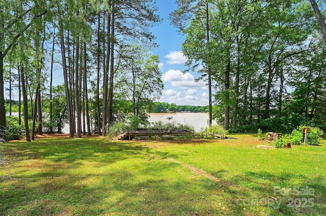 164 Tanglewood Cv, Belmont, NC 28012