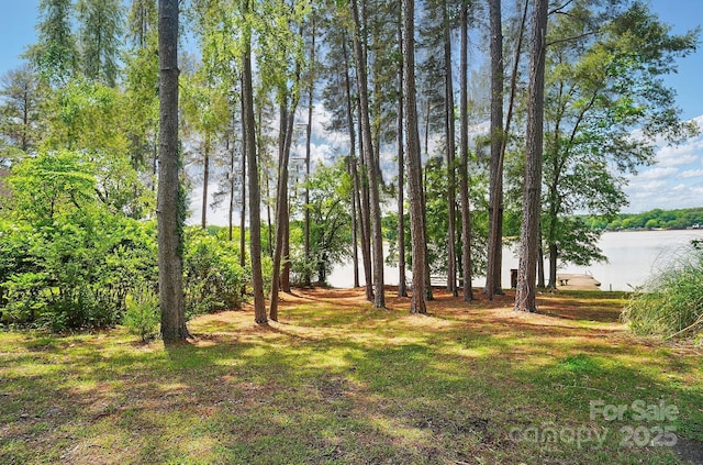164 Tanglewood Cv, Belmont, NC 28012