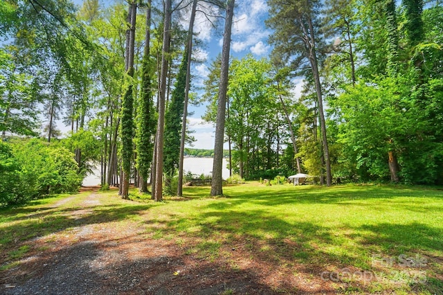 164 Tanglewood Cv, Belmont, NC 28012
