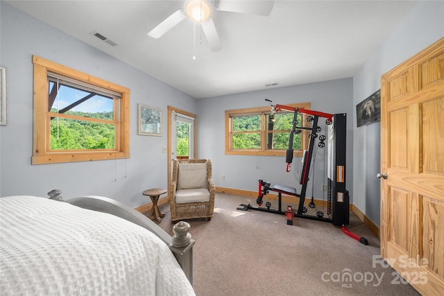 332 Mystic Cv, Waynesville, NC 28785 - carpeted bedroom with baseboards and ceiling fan