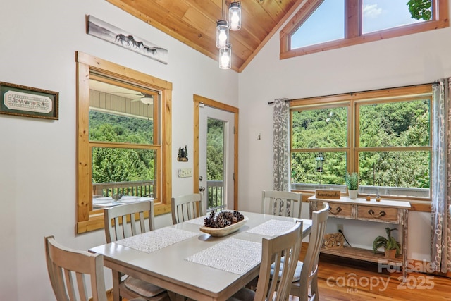 332 Mystic Cv, Waynesville, NC 28785 - dining area featuring lofted ceiling and wooden ceiling