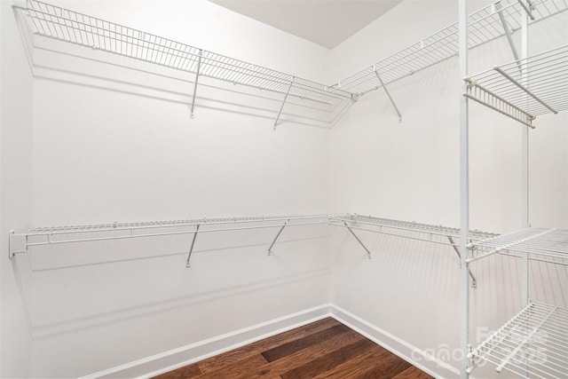 6033 Bountiful St Unit 201, Belmont, NC 28012 - walk in closet featuring dark wood finished floors