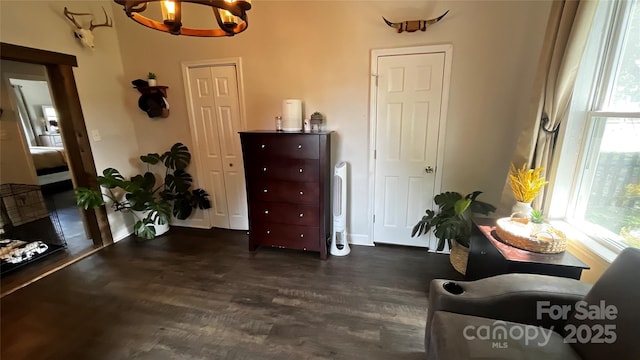 living area featuring a chandelier and dark wood-type flooring