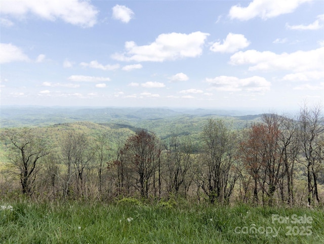 0000 Wildcat Rd, Deep Gap, NC 28618