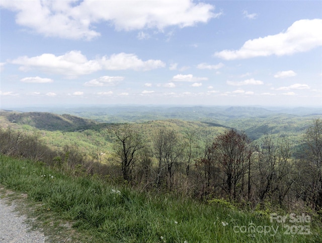 0000 Wildcat Rd, Deep Gap, NC 28618
