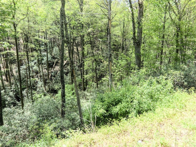 0000 Wildcat Rd, Deep Gap, NC 28618