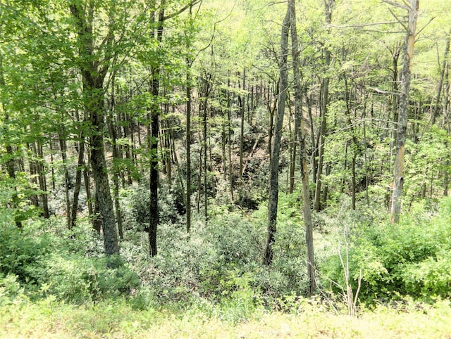 0000 Wildcat Rd, Deep Gap, NC 28618