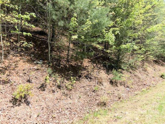 0000 Wildcat Rd, Deep Gap, NC 28618