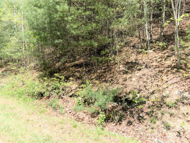 0000 Wildcat Rd, Deep Gap, NC 28618