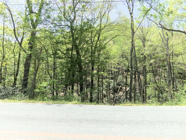 0000 Wildcat Rd, Deep Gap, NC 28618